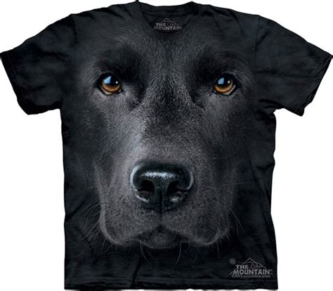 Big Face Animals T Shirts The Awesomer