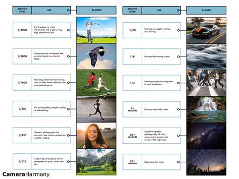 Understanding Shutter Speed A Beginners Guide Camera Harmony