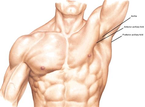 Armpit Muscle Strain Treatment