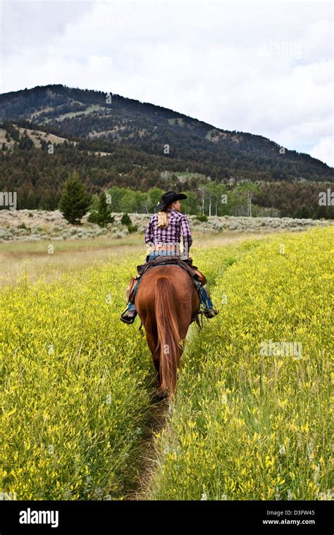 Cowgirl Wrangler Riding On Horseback Through Prairie Montana Usa