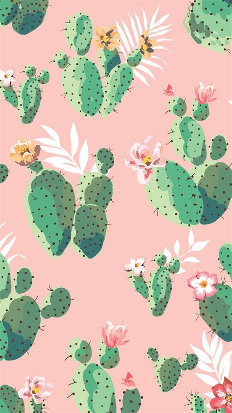 Pink And Green Cactus Iphone Wallpaper Cactus Backgrounds Iphone