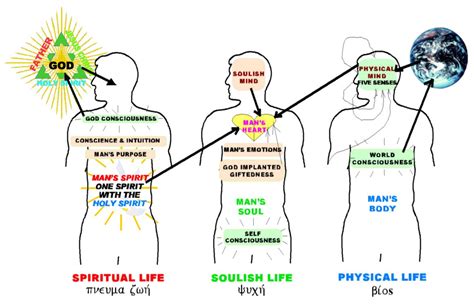 Spiritsoulbody 1176×766 Pixels Soul Vs Spirit Mind Body Spirit