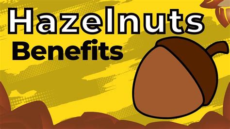 Hazelnuts Health Benefits Things You May Not Know Youtube
