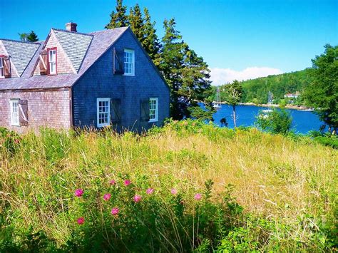 Cottage By The Sea Photograph By Patricia L Davidson Fine Art America