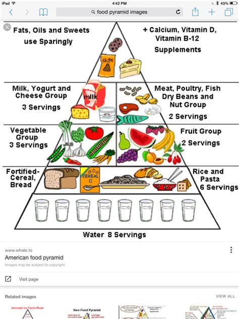 Behold, the rabbit food pyramid! Pin by Horselove on Pins and favorites | Food pyramid ...