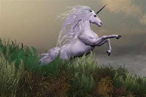 Unicorn Is A Mythological Horse With A Horn Enjoy Wallpapers With