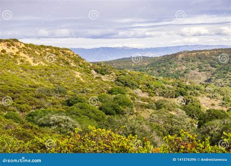 Landscape In Fort Ord National Monument Salinas California Stock