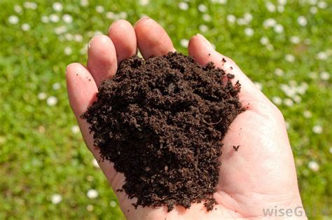 For example, ultisols, oxisols and histosols are generally available in southeast asia. What are the Different Types of Soil Amendments?