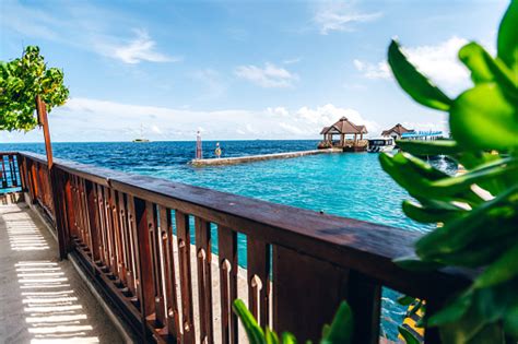 Tropical Beach Hut At Maldives Island Stock Photo Download Image Now