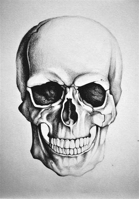 Skull Drawing Skulls Drawing Skull Drawing Skull Art