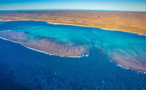 Ningaloo Reef Viaggi In Australia