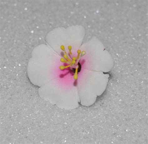 10 Gumpaste Cherry Blossoms White Or White W Pink Flower Blossoms