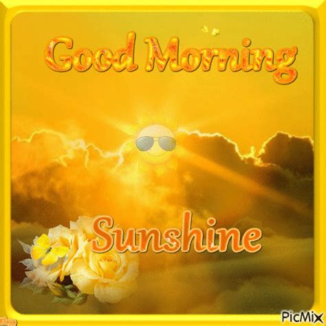 Good Morning Sunshine  Pictures Photos And Images For