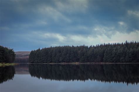 Wallpaper Trees Landscape Forest Hill Lake Nature Reflection