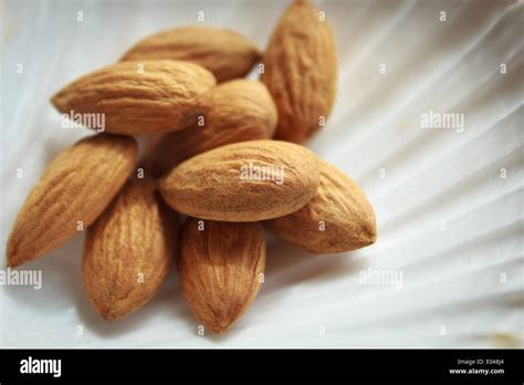 Almonds In A Shell Stock Photo Alamy