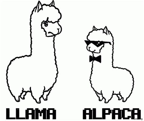 Free coloring pages llama sloths love llamas nap time coloring page crayolacom pages coloring llama free. Popular Llama Coloring Pages Knowledgeable Alpaca Page 3f ...