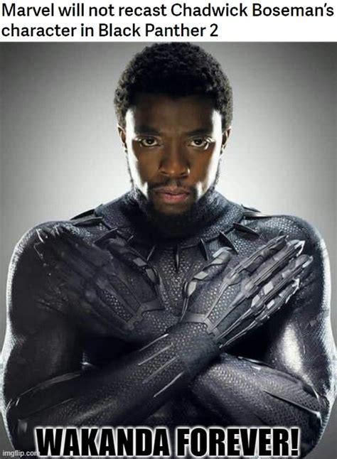 Rip Chadwick Boseman He Will Always Be The One True Black Panther