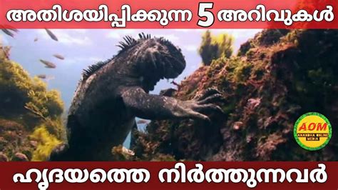 ഹൃദയത്തെ നിർത്തുന്നവർ |Amazing Facts Malayalam | Interesting Facts