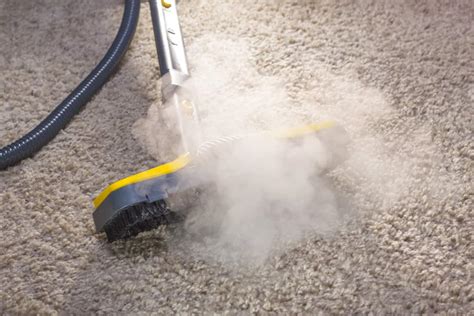 5 Best Commercial Steam Cleaners For Home And Business Use Durability