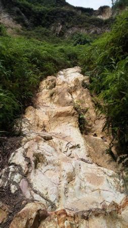 The forest has actually been leased for 80 years to this university by the selangor government. Ayer Hitam Forest Reserve (Puchong) - 2020 All You Need to ...