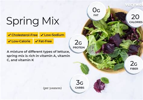 Spring Mix Nutrition Facts And Health Benefits