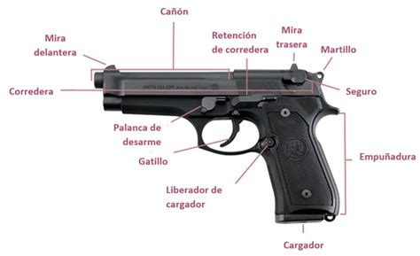 Partes De Un Rifle