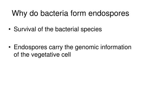 Ppt Gram Positive Endospore Forming Rods Powerpoint