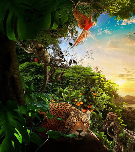 Nature of Brazil on Behance | Jungle art, Landscape illustration, Leopard wallpaper