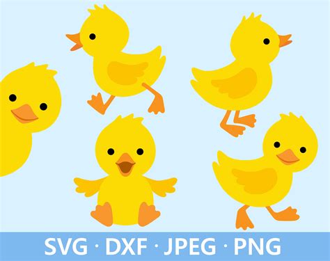 Baby Duck Svg Duck Bundle Svg File Rubber Ducky Svg Cute Etsy Australia