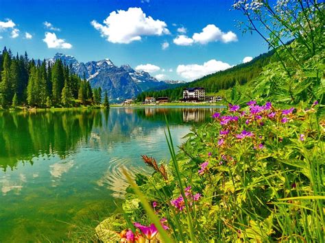 Wallpapers Fair Beauty Mountain And Forest Lake And River