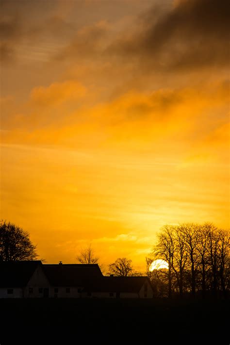 Wallpaper Sunlight Sunset Field Clouds Sunrise Yellow Evening