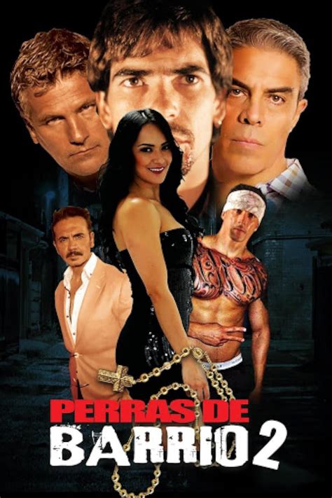 Perras De Barrio 2 2017 Imdb