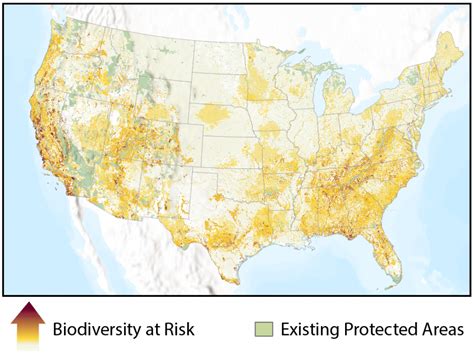 Up Biodiversity Map Shows Where The Wild Things Are T Vrogue Co