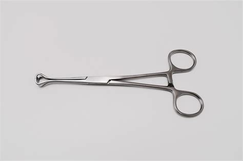 Babcock Tissue Forceps Warmed Surgical