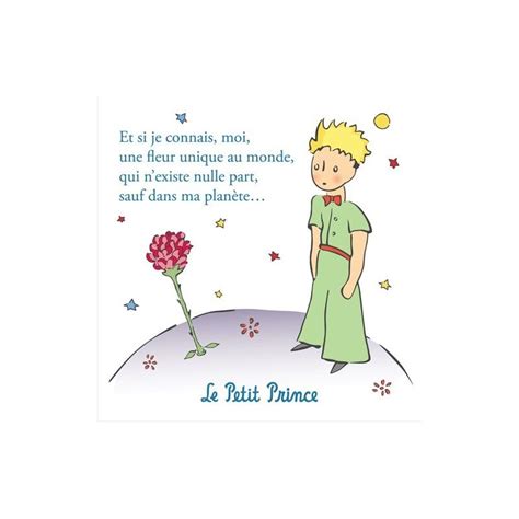 Little Prince Quotes The Little Prince Book Quotes Words Quotes
