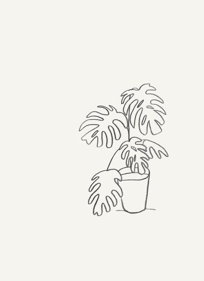 Cute Aesthetic Plant Drawings Find And Save Images From The Plant