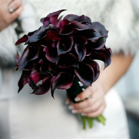 Dark Purple Calla Lily Wedding Bouquet Artofit