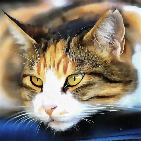 21 Cat Acrylic Canvas Paintings