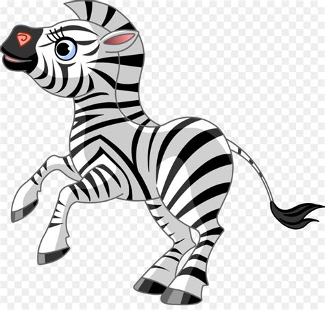 46 Kartun Hewan Zebra