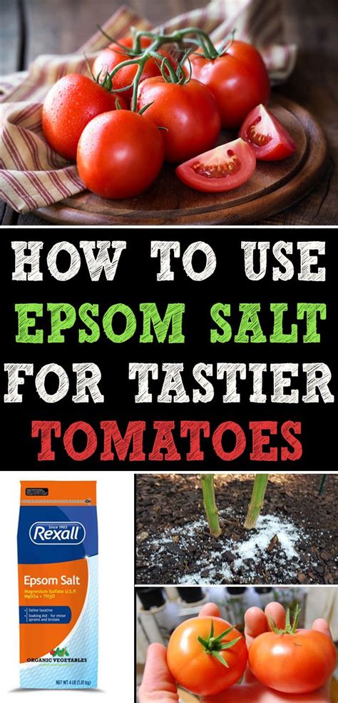 How To Use Epsom Salt For Tastier Tomatoes In 2020 Vegetable Farming