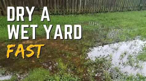 Dry Wet Yard Fast With Less Work Full Installation Video Do It