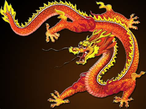 Transition in the Fierce Year of the Dragon | HuffPost