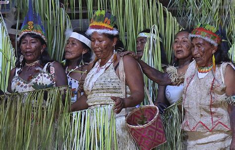Dancing A Strategy By Colombia S Indigenous Peoples To Recover Their Culture La Prensa Latina