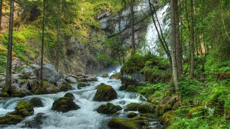 Download Wallpaper 1600x900 Forest Waterfall River Rocks Landscape