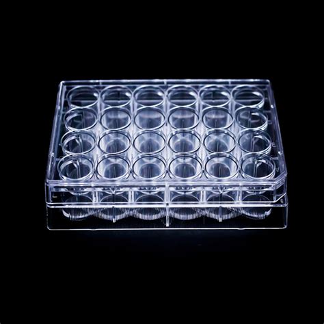 Tissue Culture Plates 24 Well Delta Educational