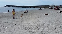 Ocean City Considers a New Trick to Attract Tourists – Dogs on the ...