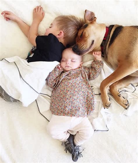 Theo And Beau Viral Napping Duo Is Now A Trio