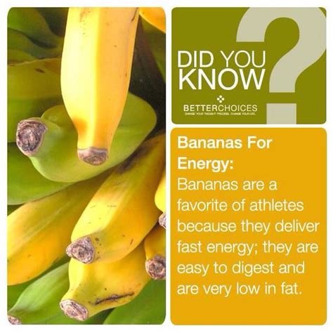 Did You Know Bananas Pointless Facts Food Info Food Facts Health