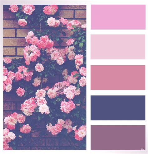 Aesthetic Background Color Palette Clickandno4