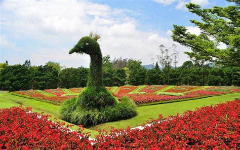 22,000+ vectors, stock photos & psd files. 7 Objek Wisata Taman Bunga Nusantara yang Wajib Anda Kunjungi